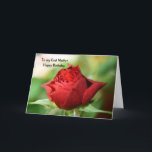 Carte Red Rose  To my God Mother Happy Birthday Card<br><div class="desc">A Close up photograph of a beautiful single red rose</div>