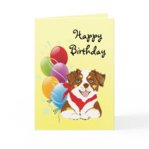 Red Tri Aussie Chiot Joyeux anniversaire