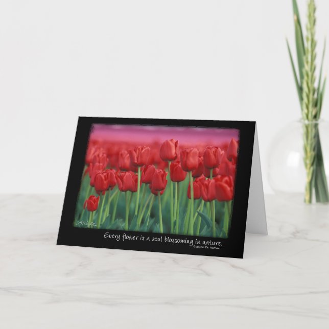 Carte Red Tulips with Quota from Gerard DeNeral (Devant)
