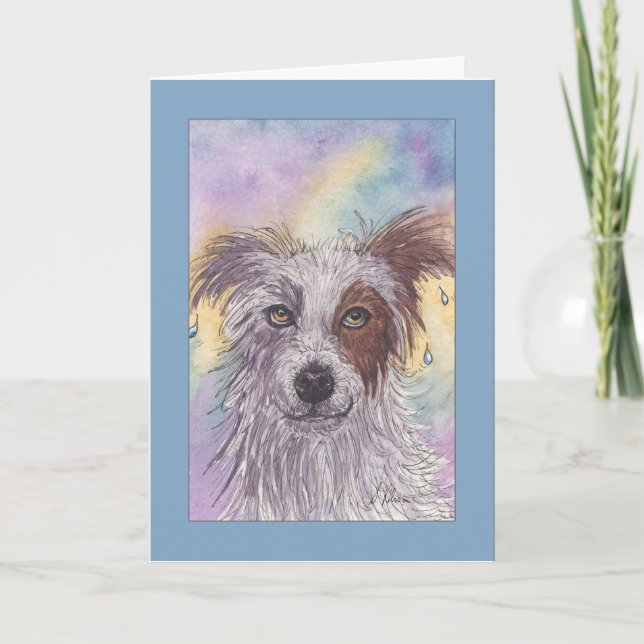 Carte Red & White Border Collie, Dripping Wet, Blank (Devant)