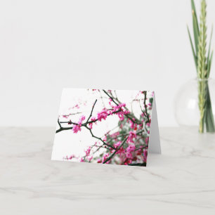 Carte Redbud oriental