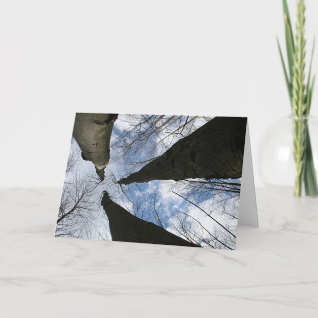 CARTE REDREAMING : REGARDER (Devant)