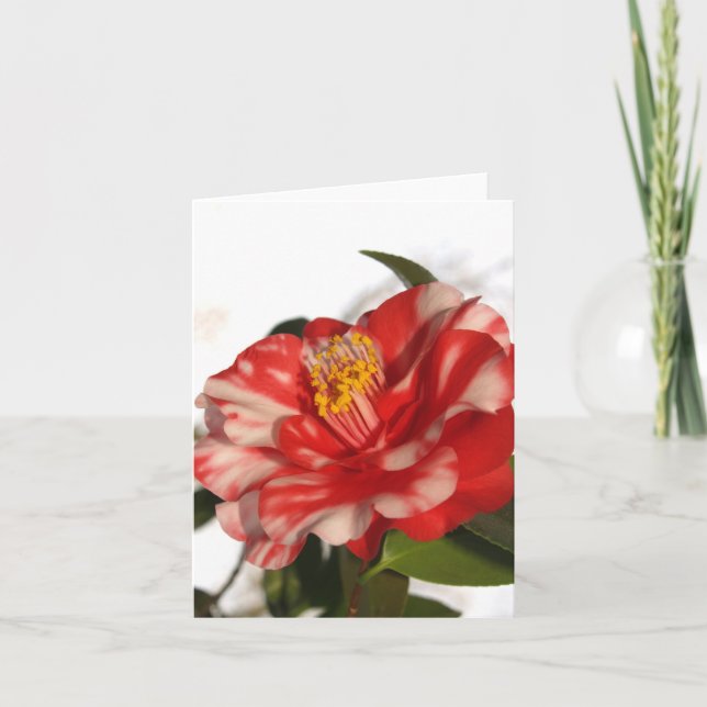 Carte redwhitecam (Devant)