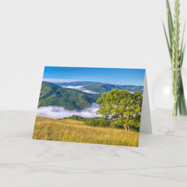 Carte Redwood National Park, Californie (Devant)