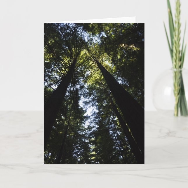 Carte Redwoods (Devant)