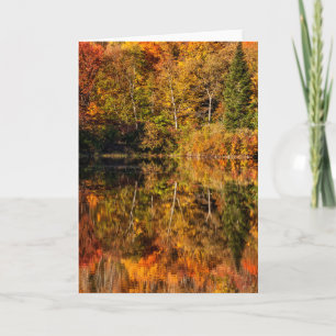 Carte Reflet d'automne sur l'étang Coffin