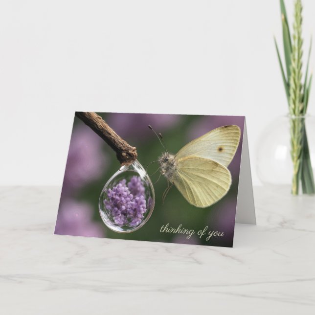 Carte Reflet de papillon et de fleur de lilas dans une g (Devant)