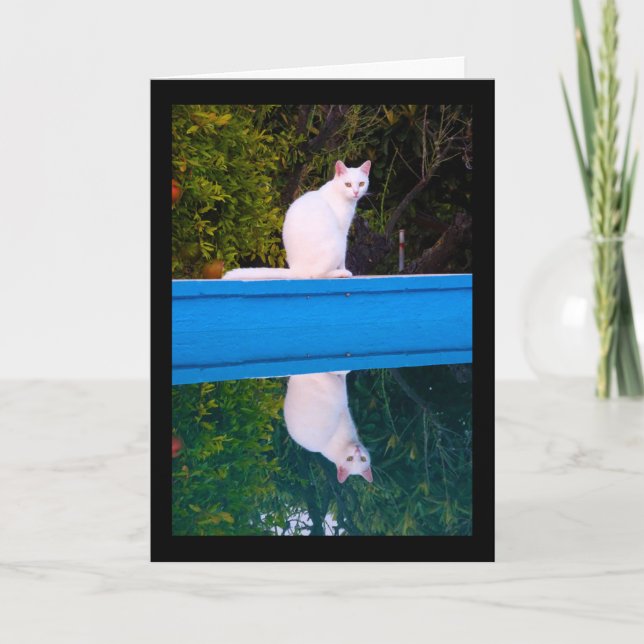 Carte Reflet d'un portrait de chat blanc (Devant)