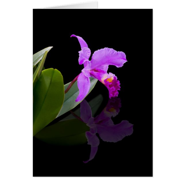 Carte reflétée d'orchidée de beauté (Devant)