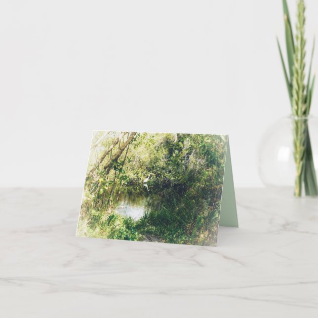 Carte Reflets sympathiques  (Devant)