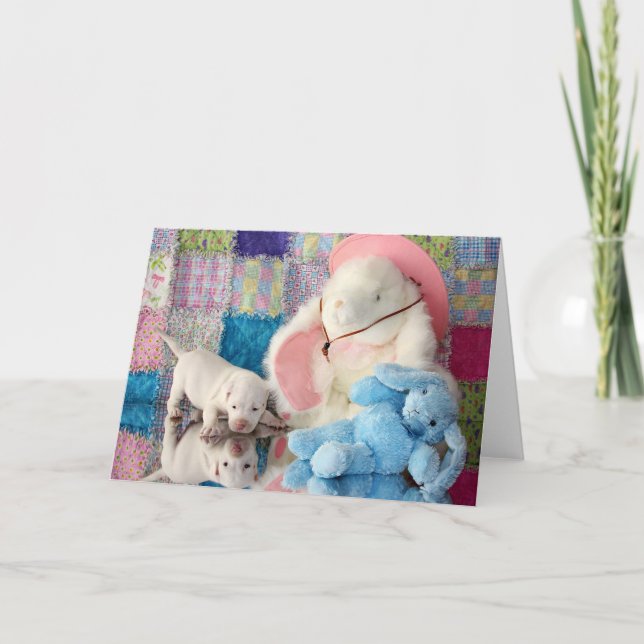 Carte Réflexion de printemps (Devant)