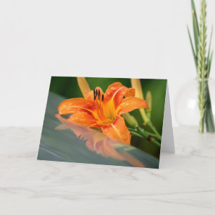 Carte Réflexion Tiger Lily