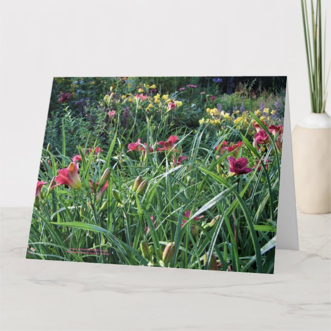 Carte Refloraison estivale Jardin d'été (Devant)