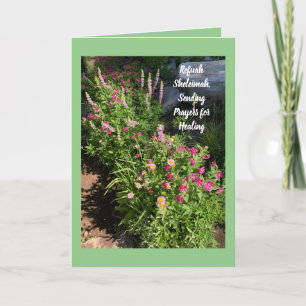 Carte Refuah Sheleimah, envoyer la guérison