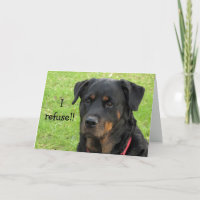 Refuser Rottweiler Get Well Card