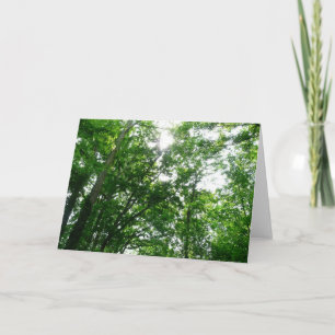 Carte Regard sur les arbres d'été