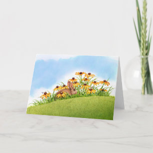 Carte Regarder des coccinelles