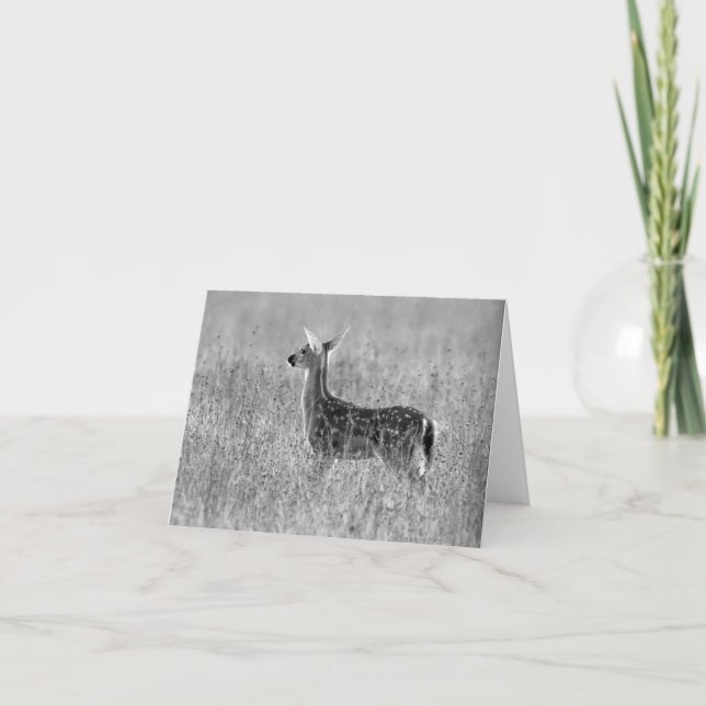 Carte Regarder le faon fixement (Devant)