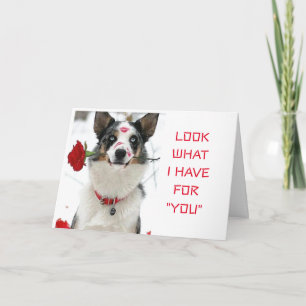 CARTE REGARDEZ CE QUE "J'AI POUR VOUS" JOUR OU NUIT SPÉC