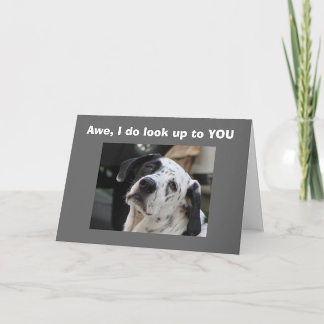 CARTE REGARDEZ-VOUS SUR LA COLLINE (Devant)