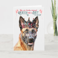Reine des chiens Malinois pour la journée drôle An