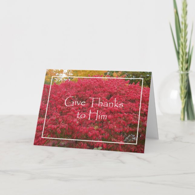 Carte religieuse Thanksgiving — Feuilles rouges de (Devant)