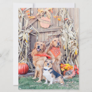 Carte Remerciez les chiens mignons et la récolte de Than