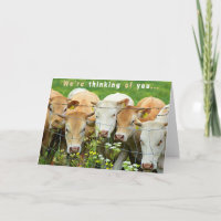 Remettez-vous bientôt Ferme Ranch Bovins Fleurs de