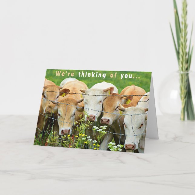 Carte Remettez-vous bientôt Ferme Ranch Bovins Fleurs de (Devant)
