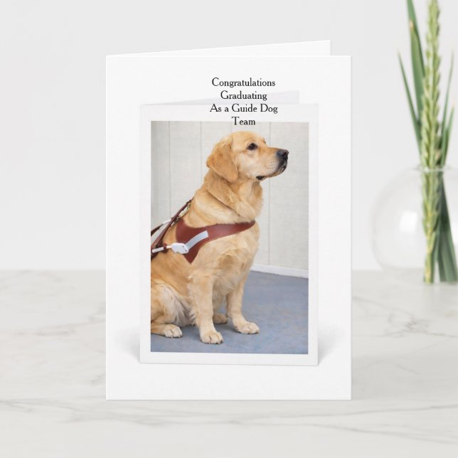 Carte Remise des diplômes du chien guide Golden Retrieve (Devant)