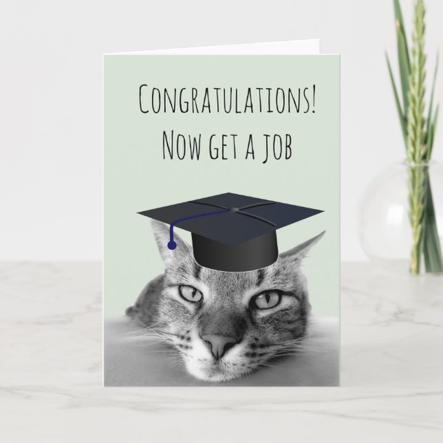 Carte Remise des diplômes Félicitations Chat en colère H (Devant)