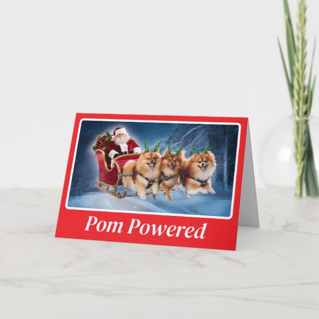 Carte Renard de Poméranie (Devant)