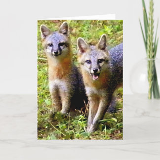 CARTE RENARD DEUX MIGNON