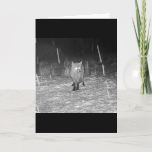 Carte Renard Rouge Époustouflant dans l'Art de la Faune  (Devant)