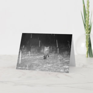 Carte Renard roux dans la neige Faune hivernale – Nature