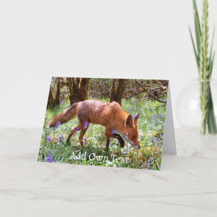 Carte Renard roux dans le jardin fleuri de jacinthes des
