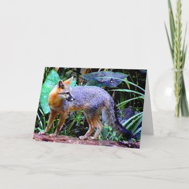 CARTE RENARD SUR L'ARBRE (Devant)