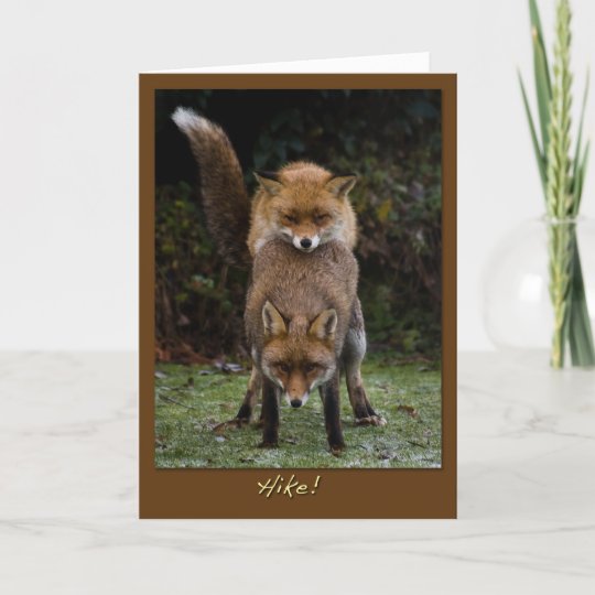 Carte Renards De Accouplement Zazzle Fr