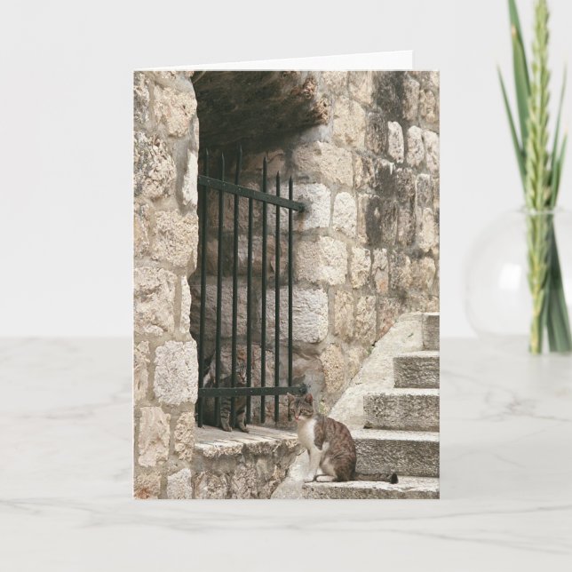 Carte "renflouement" (Devant)