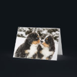 Carte Reniflement de marionnettes de chien de montagne<br><div class="desc">Les marionnettes de chien de montagne bernese de Milou reniflent chaque autres</div>