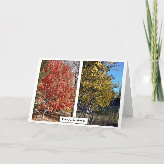 Carte Reno Parcs en Automne, Nevada, Photographie J.Halk (Devant)
