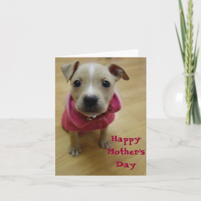 Carte Renoncule (Devant)