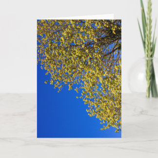 Carte Renouveau de printemps du chêne Espoir Renaissance