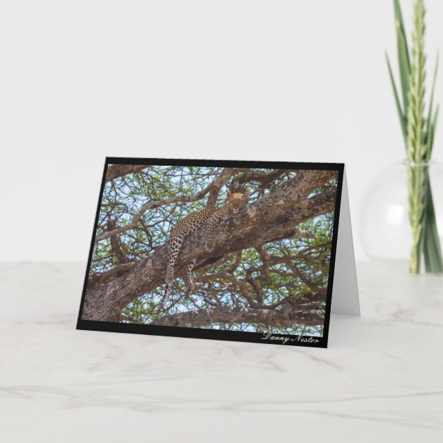 Carte Repaire de léopard (Devant)