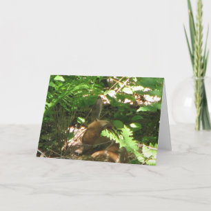 Carte Repose à découvert