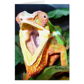 carte reptile