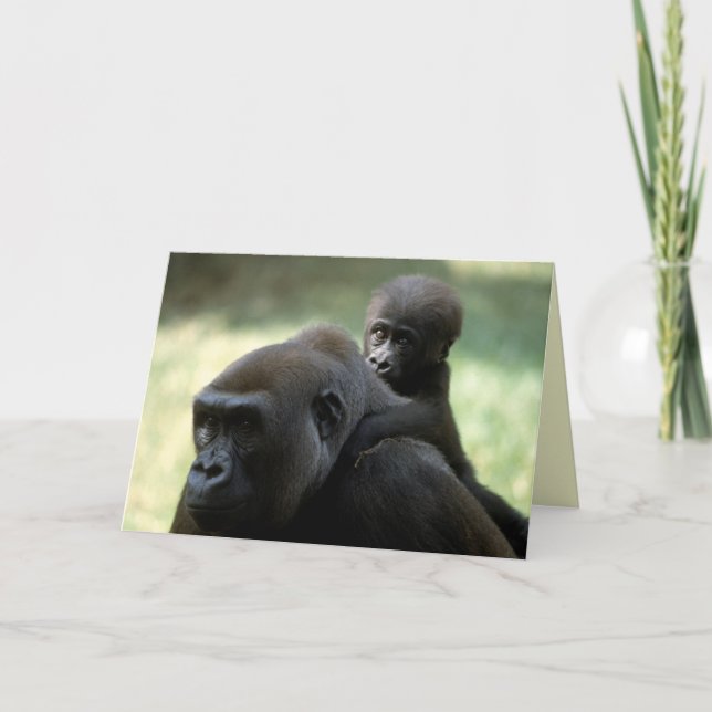 Carte Réserve faunique - Primates 11 (Devant)