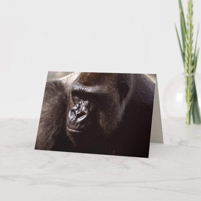 Carte Réserve faunique - Primates 13 (Devant)
