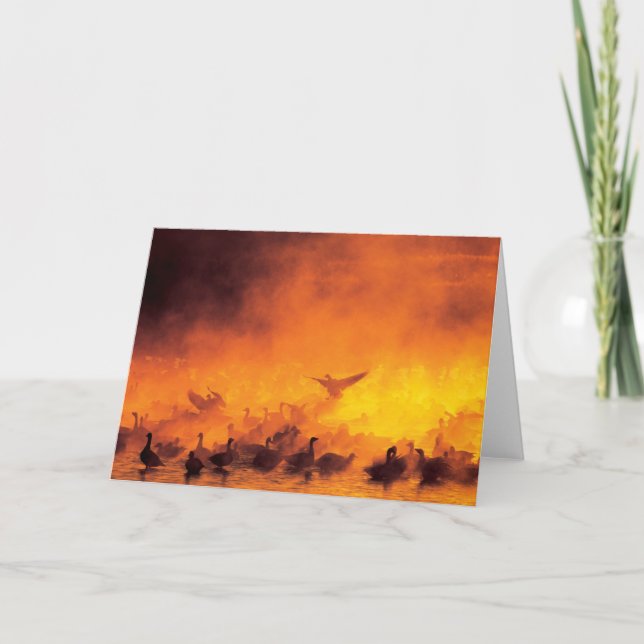 Carte Réserve nationale de faune Bosque del Apache, NM (Devant)