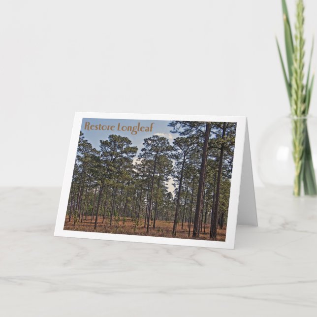 Carte Restauration Longleaf (Devant)